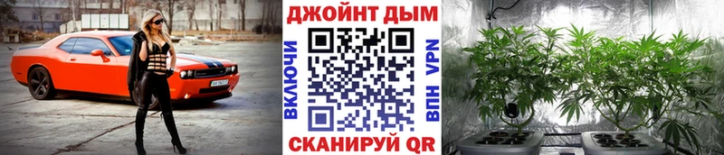Конопля сатива  Александровск 